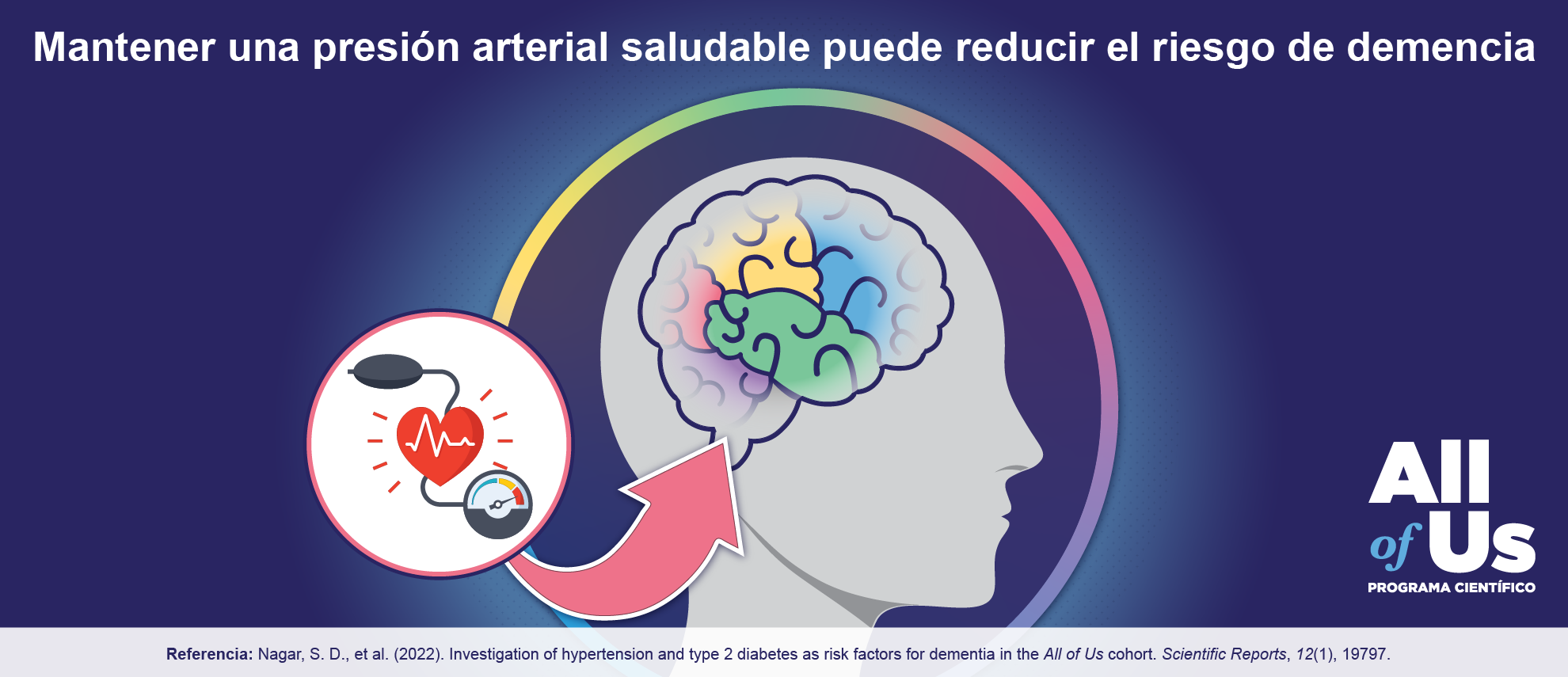 Mantener una presión arterial saludable puede reducir el riesgo de demencia. Una ilustración de una cabeza humana que muestra el cerebro. Se destacan varias áreas del cerebro. Una ilustración superpuesta muestra un brazalete para medir la presión arterial y un corazón con una línea de gráficos de electrocardiograma que lo atraviesa. La ilustración superpuesta tiene una flecha que apunta al cerebro. Logotipo del Programa Científico All of Us. 