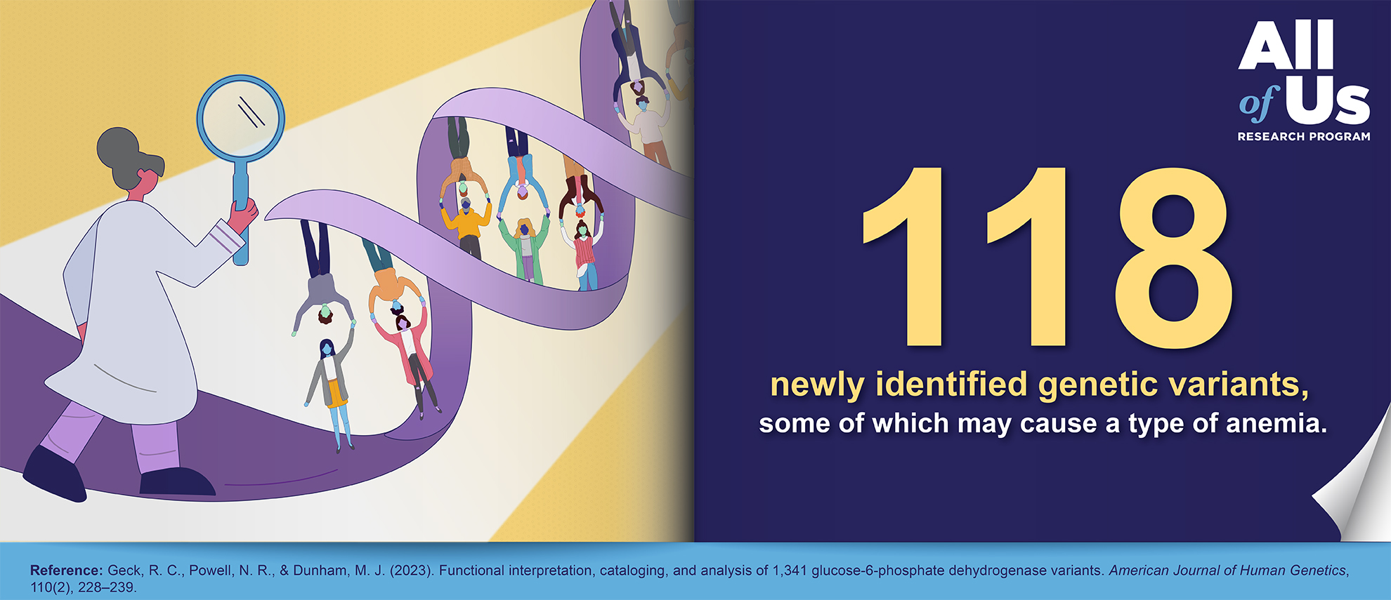 118 newly identified genetic variants, some of which may cause a type of anemia. Reference: Geck, R.C., Powell, N.R., & Dunham, M.J. (2023). Functional interpretation, cataloging, and analysis of 1,341 glucose-6-phosphate dehydrogenase variants. American Journal of Human Genetics, 110(2), 228-239. Logo of the All of Us Research Program. An illustration of a double helix strand of DNA. The rungs or base pairs are represented as pairs of people reaching their arms over their heads and graspd magnifying glass.