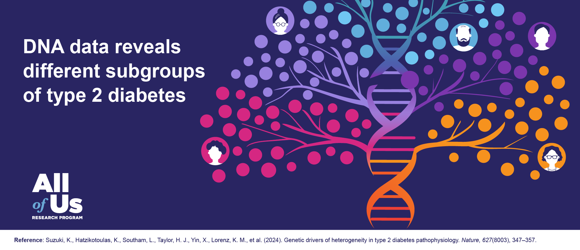 An illustration shows a DNA helix with branches extending from it, mimicking the shape of a tree. There are faces of different genders and ages inside circles scattered among the branches. A text says: “DNA data reveals different subgroups of type 2 diabetes”. The source of the research is shown at the bottom. The All of Us Research Program logo is in the lower left corner.  