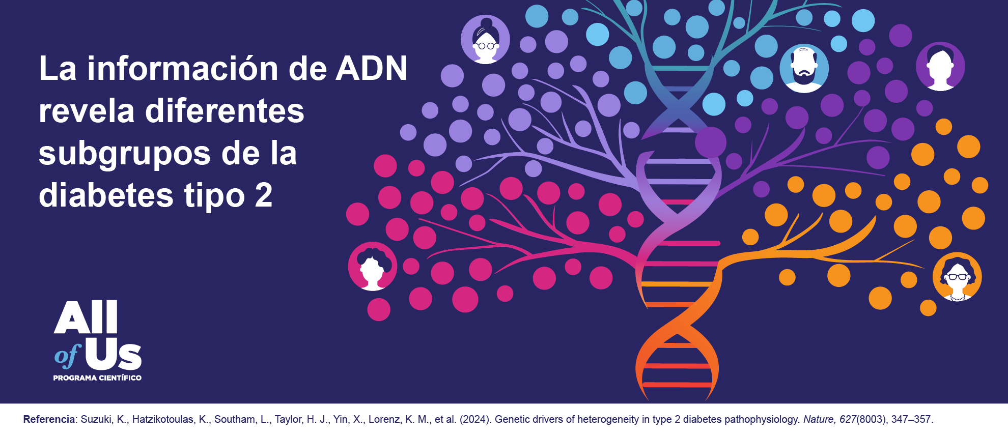 Una ilustración muestra una hélice de ADN con ramas que se extienden desde ella, simulando la forma de un árbol. Hay caras de distintos géneros y edades dentro de círculos esparcidos entre las ramas. Un texto dice “La información de ADN revela diferentes subgrupos de la diabetes tipo 2”. La fuente de la investigación está en la parte de abajo de la ilustración. El logo de All of Us está en la esquina inferior izquierda. 