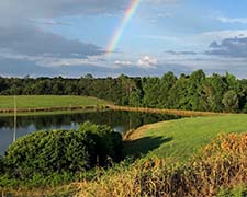 The Abella pond on the farm where Joyce grew up, honoring her grandparents Arthur and Albina Bell. Photo by Joyce Bell Winkler.